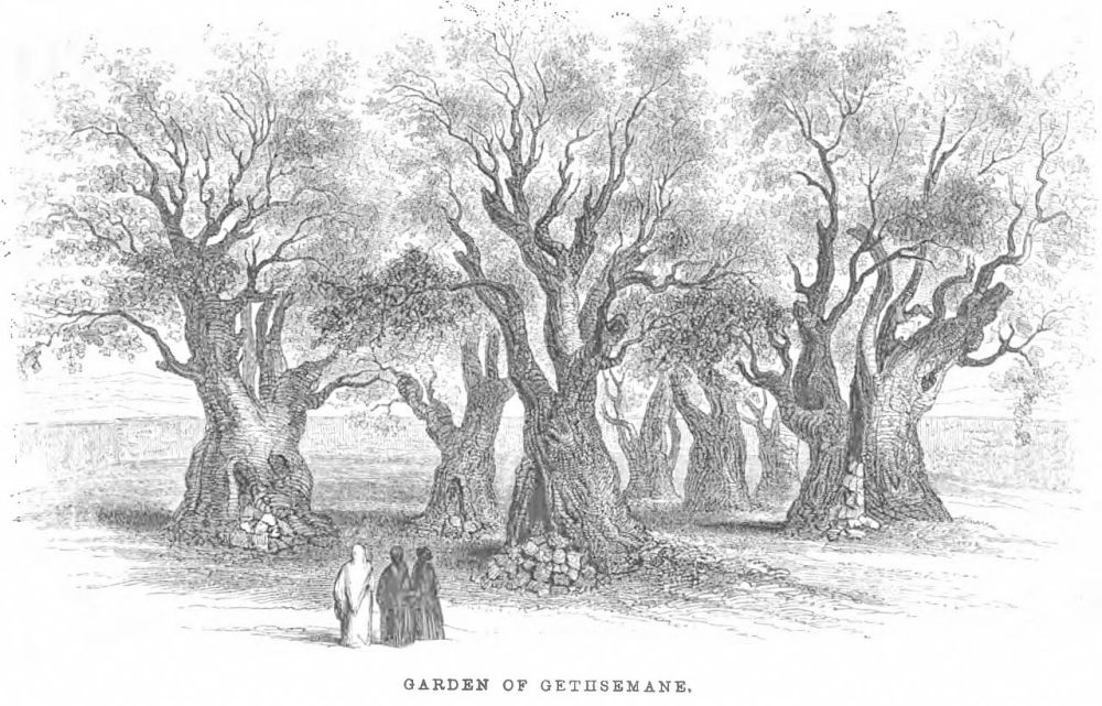 garden-of-gethsemane